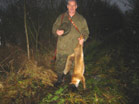 Trzeciego lisa strzeli prowadzcy polowanie