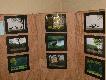 Wystawa Fotograficzna w zamku w Po�czynie