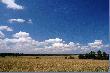 a to Polska w�a�nie...