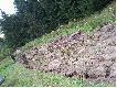 Gospodarka - pasy zaporowe
Gospodarka w K� Muflon Bystrzyca K�odzka.