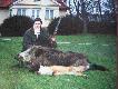 Polowanie zbiorowe w Siemys�owie1.12.2001.
Zosta�em kr�lem polowania
