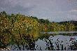 Jezioro D�bie