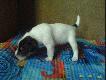 Zb�j ! :)