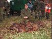 Zaproszony go��,kt�ry dzie� wcze�niej strzeli� 2 lisy a w niedziele dzika ( ten w �rodku dzik to jego)