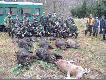 pokot nawet niez�y, moglbyc lepszy gdybym nie przespal jednego dzika podczas polowania:)