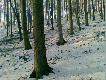 tamt�dy ucieka�y 