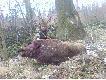 M�j 99-ty