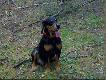 Sie zgoni�em