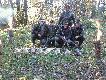 A to szcz�liwcy kt�rych obdarowa� w tym dniu �w. Hubert.