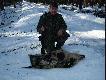 M�j pierwszy �aciaty , wybrany z watachy gdzie locha prowadzi�a 10 szt.
