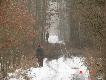 Oczekiwania w pierwszym p�dzeniu.
