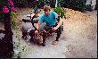 Tata wraz z bykiem z 1991 roku. Waga tuszy po wypatroszeniu 155kg. Wiek byka 11 lat. 