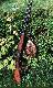 Wiosenny pokot. 
S�onki.