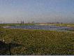 Woda na ��ce