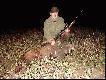 Dzicze ostatki sezonu 2007/2008.  M�j 50-ty dzik (7-my w sezonie).