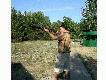 Strzelnica St�pna-Micha�ki k/o Ostro��ki
