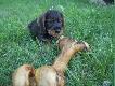 Hmmm... Jak to ugry��???