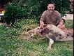 Ten odyniec przesadzi� z przebieg�o�ci�.