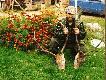 Dublet ksi��kowy.