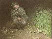 Pierwszy lis dwadzie�cia minut p�niej dzik.