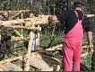 Ambony
4 dni, 4 grupy i 24 ambony. Le�nictwo Maryl�wka