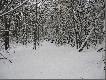 A kto powiedzia� �e nie ma �niegu.. ?? :-)