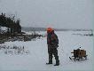 Conservation and Hunting.
Ochrona przyrody i polowanie. Najlepszymi ochroniarzami przyrody s myliwi. To oni, w kadym kraju wykazuj szczer trosk o zwierzta i ptaki owne. W czasie polowania na zajce powicilimy p dnia, by zbudowan przez pana Witliba (Darka ojciec) budk wylgow dla "lenych kaczek" zacign dwa kilometry po zamarznitym jeziorze na bagna i podwiesi j na drzewie.
Nikt nas do tego nie nakaniaj, ani zachca. Bya to nasza inicjatywa.