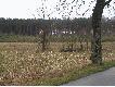 Kto si� przyzna???
Kto sie przyzna???Urz�dzenie widziane pomi�dzy Cz�op� a Tucznem :)
