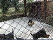  Miesi�czne Jagi po Poli i Tornado:)))