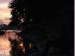 Z nad Wis�y
Fotografie powsta�y podczas zesz�orocznych pobyt�w nad Wis��.