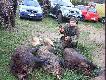 Tego dnia Hubert podarowa� mi dwa wycinki.