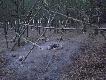 Co to mo�e by�??
Na takie co� natkn��em si� 2 dni temu w srodku lasu jakie� 4 km od najbli�szej wioski... Mo�e kto� z Koleg�w powie mi co to mo�e by�??
