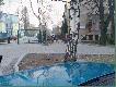 Dziczki w  Katowicach
Wczoraj tj.03.04.08 ok. godziny 17.00 spotka�em kilka dzik�w z m�odymi, buchtowa�y sobie w rejonie skrzy�owania ul. Ko�ciuszki z Rzepakow� nie zwracaj�c uwagi na ruch samochodowy i ludzi przechodz�cych obok. Uda�o mi si� zrobi� par� zdj�� telefonem ale ruch by� du�y i nie mog�em sobie pozwoli� na post�j  i d�u�sz� obserwacj�.