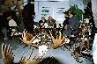 Wystawa mysliwska Wroc�aw2007
