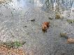 Rudy w akcji.
Niedziela w terenie (dobrze �e lody pu�ci�y ).