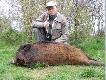 Nowy sezon si� rozkr�ca ... mam nadziej� ? 2-gi kwietniowy przelatek/odyniaszek;-)