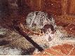 Spoko ! Poczekam !
Taki spok�j towarzyszy mojemu Dropowi przed polowaniem. Nale�y zaznaczy�, �e to jego 13 sezon.