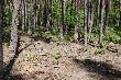 Regionalny konkurs dzikarzy w Suchodole
 
Przedstawiam kilka fotek z Regionalnego konkursu pracy dzikarzy ,kt�ry odby� sie  11 maja 2008 r. W Suchodole k/Tarczyna. M�j pies Mrok lok 2 dyplo 1 go stopnia i 134/140 pkt 
  suczka Mag�a ( pr�by dzikarzy )  lok 1/3 97/100 pkt. 