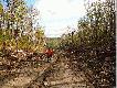 Tylko  miejscami  by�o  sucho. W tym  roku  mieli�my  ponad 3 metry  �niegu w Quebecu. �nieg w  lesie  le�a�  do  maja.