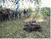pokot po 1 zbiorowce pod wieza ppoz