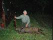 Jest 11 dzik!! 2 w sezonie 2008 