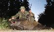 Strza� - jak wida�  :-)))