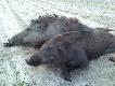 1
Pierwszy dublet