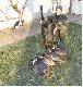 Poranne polowanie na przelotach. Szkoda, �e mia�em tylko 12 �rut�w...