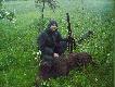 Majowy spacer o �wicie z "kochank� kal.12" przyni�s� pierwszego dzika w sezonie 07/08, pierwszego z podchodu, pierwszego z breneki... (66kg)
