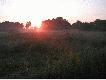 Dzisiejszy porannek 15.06.2008r.