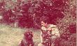 25-08-1986r. Mlody byczek pozyskany rankiem.