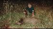 14.07.2008
efekty po �wczesnym obej�ciu lasu i wybadaniu dzik�w:))8 dzik
waga ok 77 kilo...