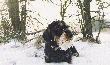 Moje towarzysze �ow�w
