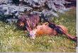 11-06-2004 r. To ja go znalazlem!!!